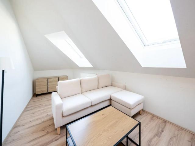 Helle 2 Zimmer Wohnung mit Klimaanlage im zentralen Puntigam