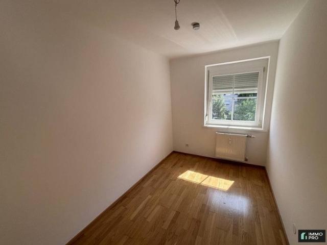 Helle 2 Zimmer Wohnung mit neuer Einbauküche