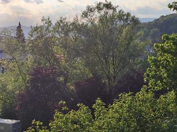 Helle 2 Zimmer Wohnung mit Schöcklblick & neuer Küche