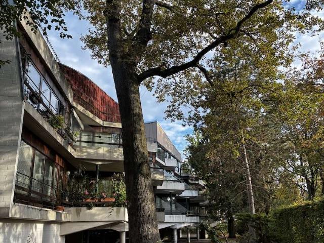 Helle 2 Zimmer Wohnung im grünen Lankwitz – Baller Architektur