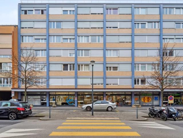 Helle 2 Zimmer Wohnung im Herzen von Carouge