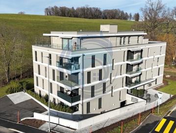 Champ du Riaux, Châtel-Saint-Denis, Vivisbachbezirk, Kanton Freiburg