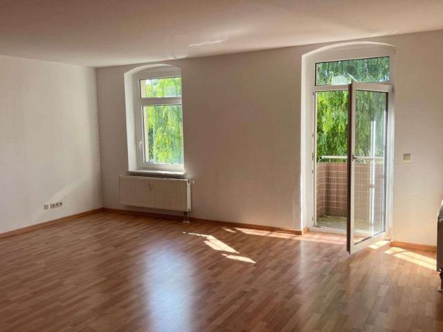 Helle 3 Raumwohnung mit Privatzugang zur Saale