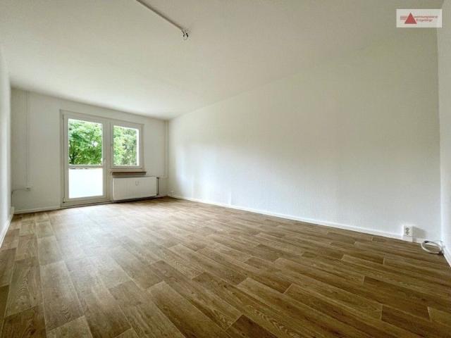 Helle 3 Raum Wohnung im Erdgeschoss mit Balkon in Klingenberg!