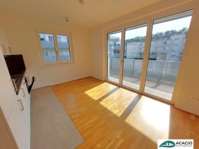 helle 3 Zimmer Wohnung mit Tageslichtbad und Eckbalkon im Wohnpark Tullnerfeld im Grünen wohnen, aber in der Stadt arbeiten Tiefgaragenplatz optional möglich!