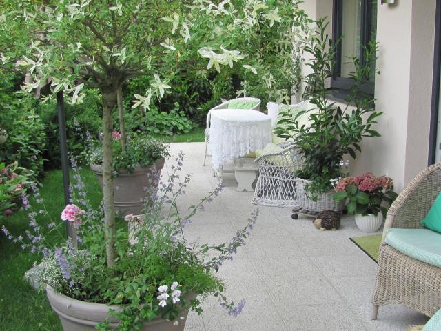 Helle 3 Zimmer Wohnung mit Terrasse, Garten & Carport Stellplatz inklusive