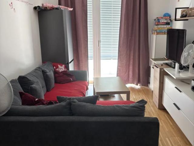 Helle 3 Zimmer Wohnung mit Balkon in Graz
