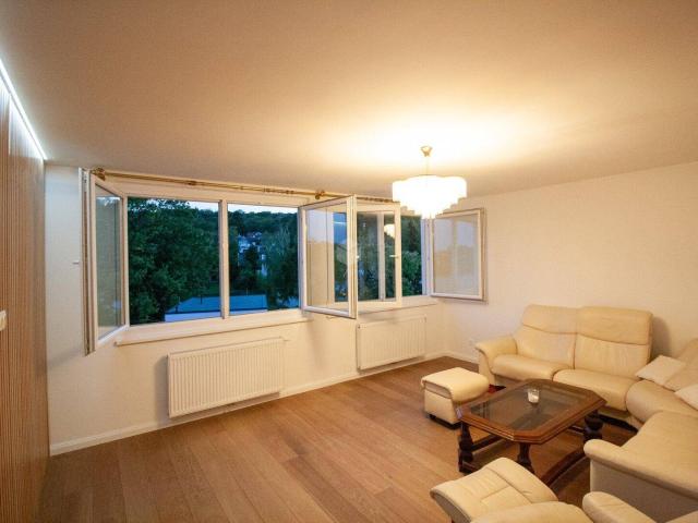 Helle 3 Zimmer Wohnung mit extra Küche mit Blick auf Weinreben – frisch saniert Video verfügbar