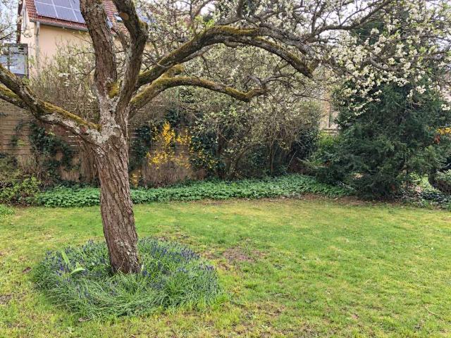 Helle 3 Zimmer Wohnung mit Garten und Garage in ruhiger Lage