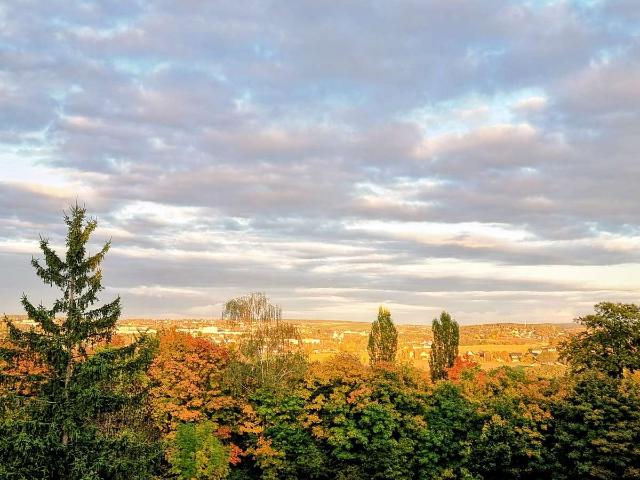 Helle 3 Zimmer Wohnung mit schönem Ausblick in Netzschkau