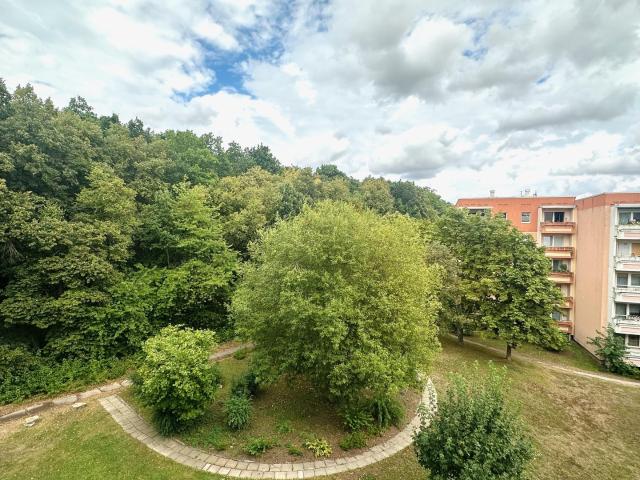 Helle 3 Zimmer Wohnung am Waldrand