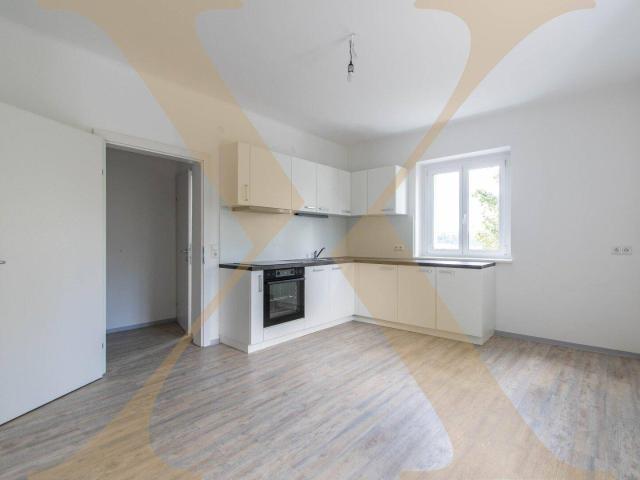 Helle 3 Zimmer Wohnung in traumhafter Grünruhelage von Steyr zu verkaufen!