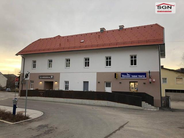 Helle 3 Zimmer Altbauwohnung im Herzen von Grünbach am Schneeberg
