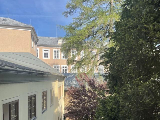 Helle 3 Zimmer Altstadtwohnung am Papagenoplatz
