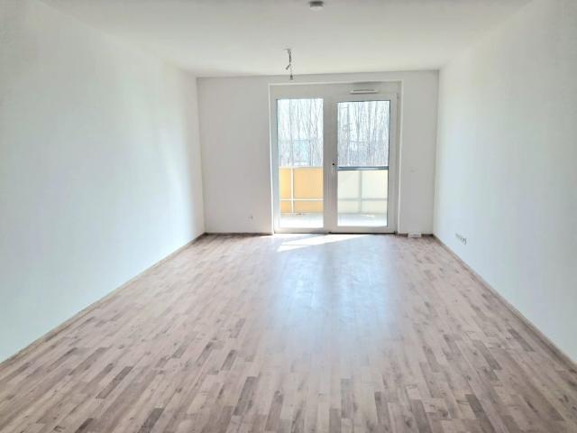 Helle 3 Zimmer Erstbezugswohnung im Grünen – modern, komfortabel & einladend