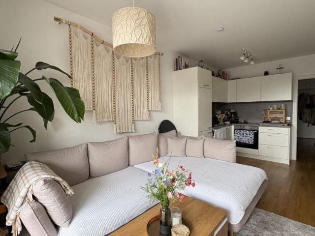 helle 3 Zimmerwohnung mit Balkon in Wels