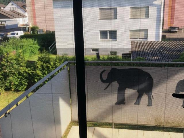 Helle 3 ZKB Wohnung mit Balkon und Stellplatz in Trier Pfalzel