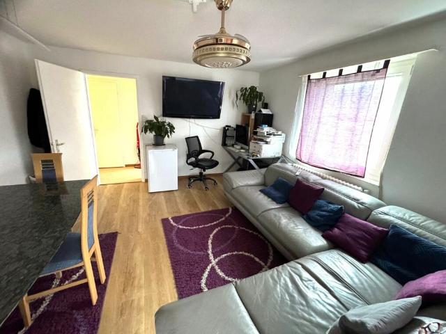 Helle 3.0 Zi Wohnung zu vermieten
