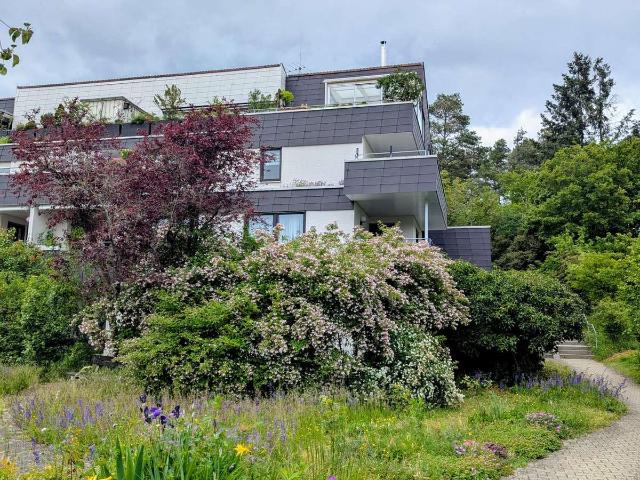 Helle 3,5 Zimmer Hochparterre Wohnung mit EBK und Balkon