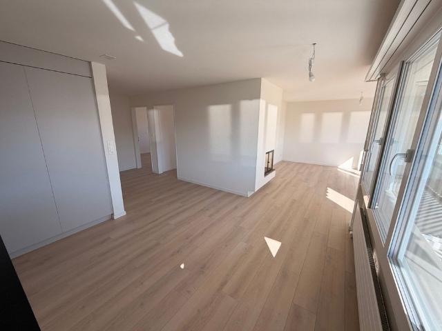 Helle 3.5 Zimmer Wohnung mit Balkon und Kamin in Au SG