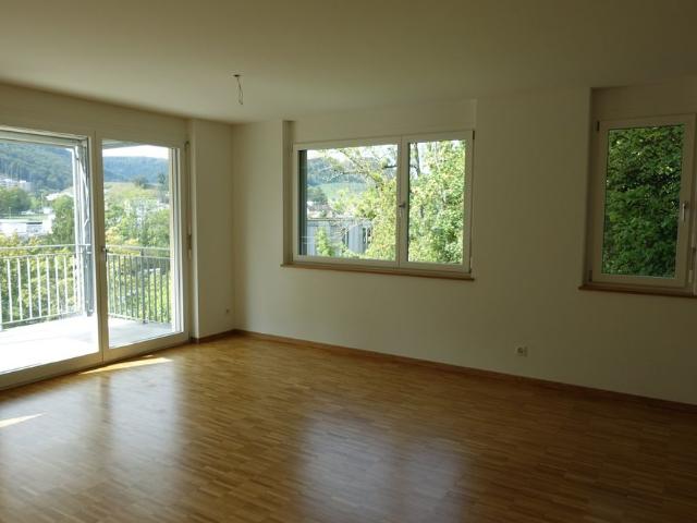 Helle und grosszügige Wohnung