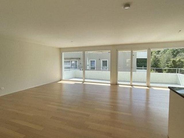 Helle und moderne 4.5 Attika Zimmerwohnung
