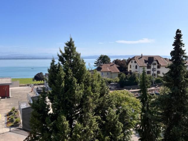 Helle Wohnung mit Blick auf den See und die Alpen