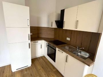 Apartment for rent in Pieschen-Nord - Keller