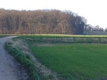 Königsdorf, Frechen, Kölner Bucht, Nordrhein-Westfalen