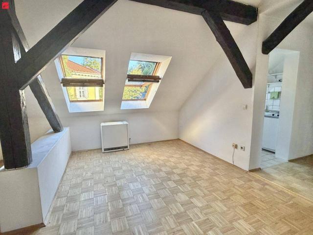 Helle DG Wohnung neben Stadtpark und Schloßberg!