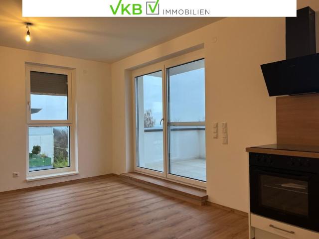 Helle Etagenwohnung mit Alpenblick in Top Lage Hitzing/Leonding