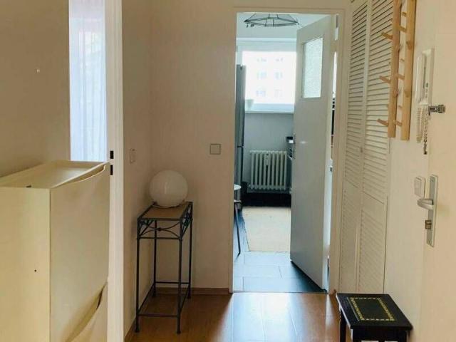 helle gepflegt möblierte Wohnung mit Balkon Nähe Hbf ab sofort zum vermieten