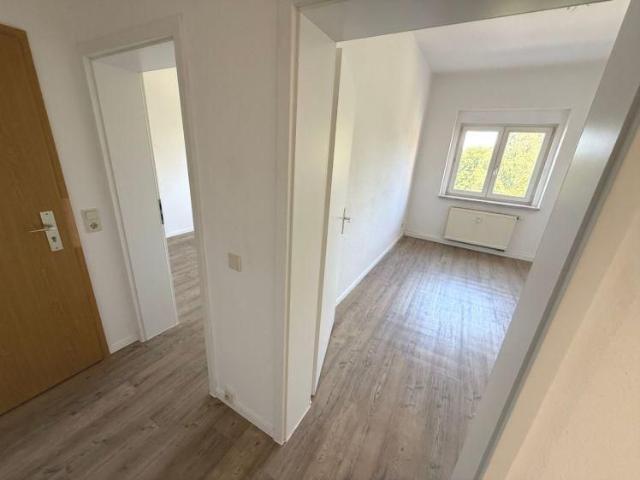 Helle, gepflegte 2 Raum Wohnung am grünen Stadtrand von Plauen