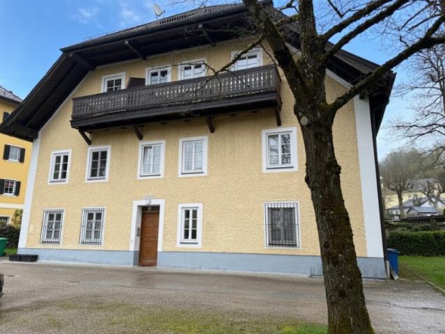 Helle Großgarconniere im grünen Gnigl