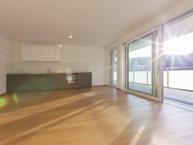 Helle, großzügige 5 Zimmer Wohnung mit Grünblick auf Burg Liechtenstein | sofort bezugsbereit