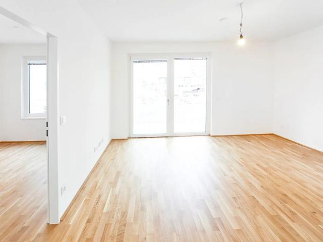 HELLE LICHTDURCHFLUTETE NEUBAUWOHNUNG AM PARK PROVISIONSFREI MIT BALKON
