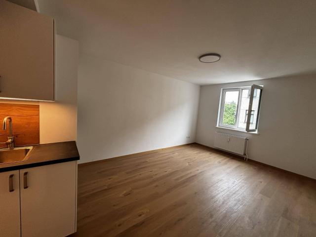 Heller 2 Zimmer Neubau in Wien 1160 ab Oktober