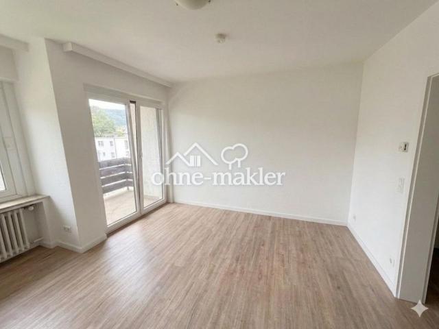 Helles 1 Zimmer Apartment in Bad Pyrmont, wahlweise möbliert