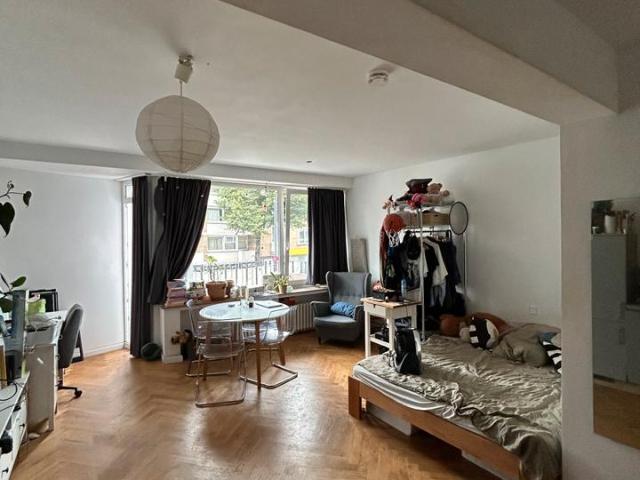 Helles 1 Zimmer Apartment in Zentraler Lage mit Balkon