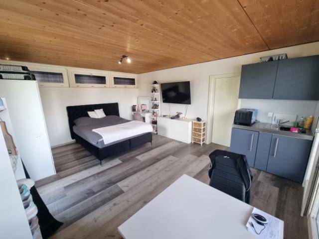 Helles 1 Zimmer Studio mit Balkon in Wolfwil mieten