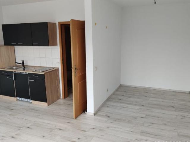 helles 1 Raum Apartement mit Schlafnische und Einbauküche in Jena Cospeda