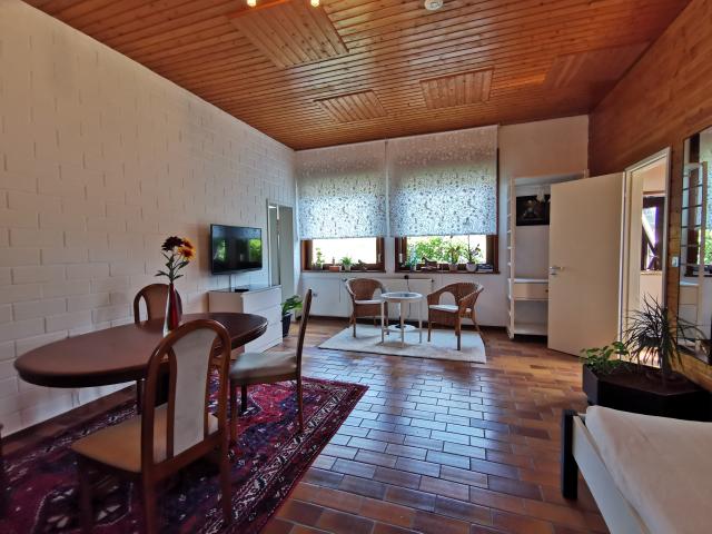 Helles 41qm Apartment mit sep. Hauseingang zu vermieten