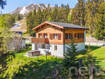 Helles Chalet mit Wellnessbereich und direktem Zugang zu den Pisten