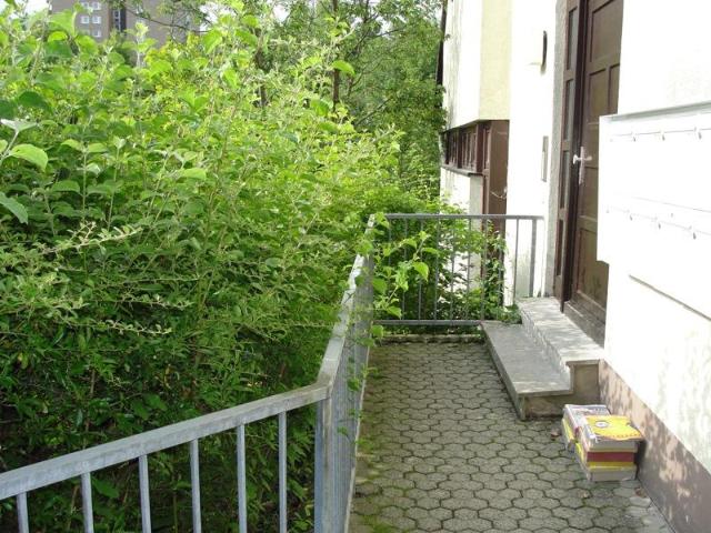 Helles großzügiges Appartement mit große Terrasse