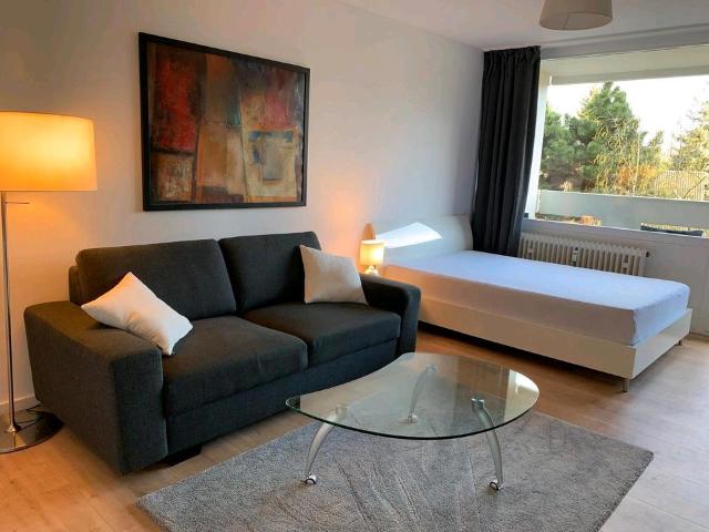Helles mobl. 1 Zi Apartment FFM Oberrad