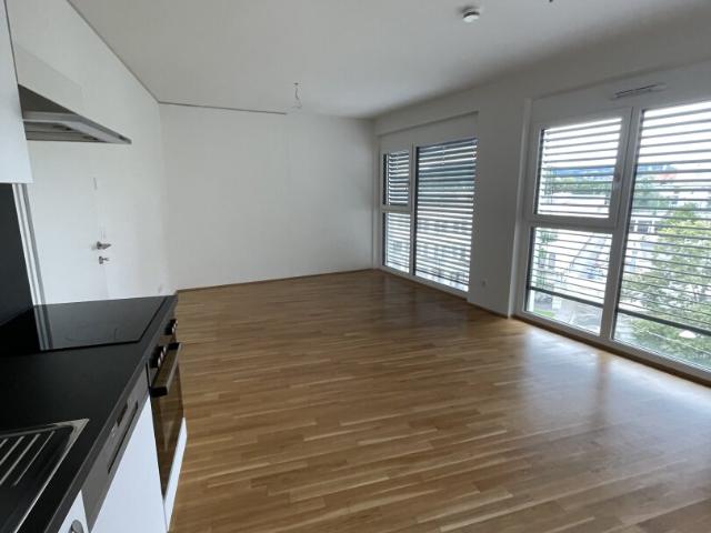 helles, neuwertiges wohnvergnügen nahe dem zentrum!
