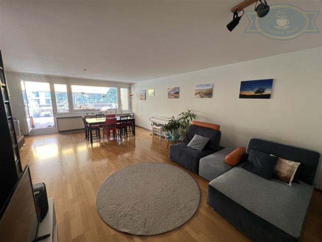 Helles Penthouse mit großer Panoramaterrasse vor den Toren Basels
