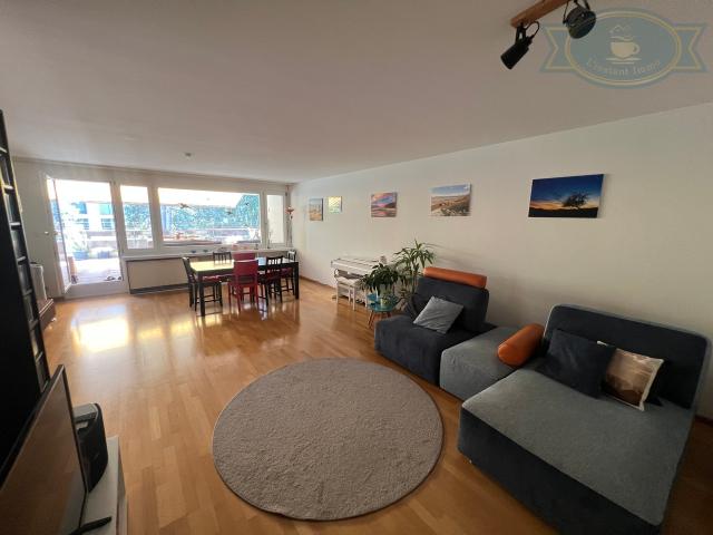 Helles Penthouse mit großer Panoramaterrasse vor den Toren Basels