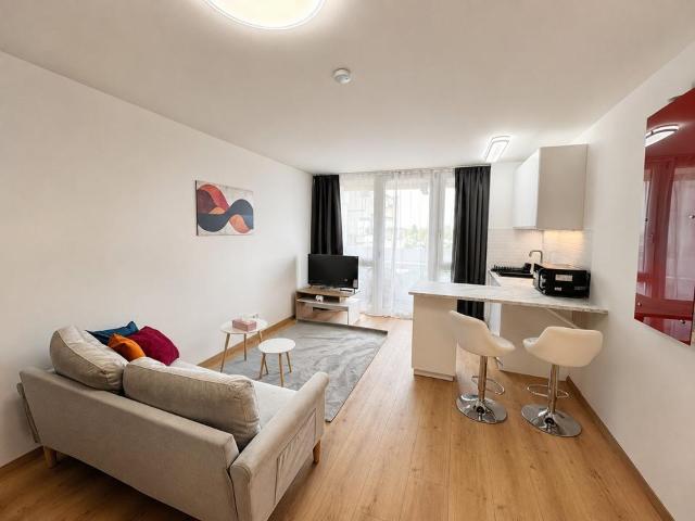 Helles, vollmöbliertes 1 Zimmer Apartment in München Bogenhausen
