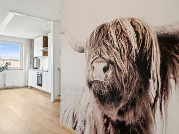 Apartment for rent in Spohrplatz